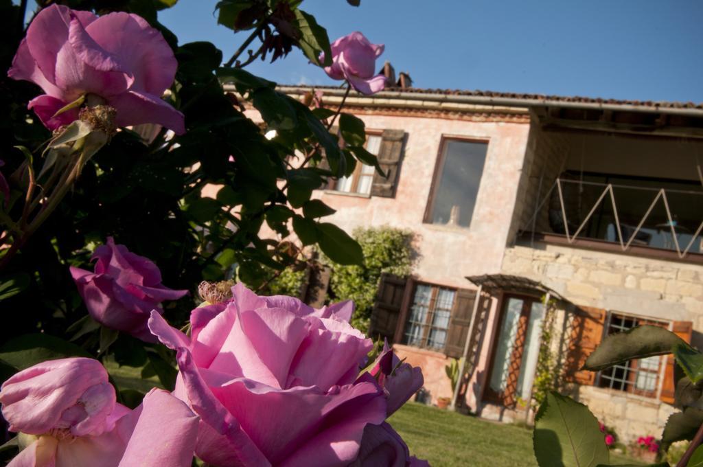 Cascina Rosa B&B Grazzano Badoglio Exteriör bild
